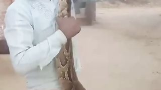 Don't you... I repeat, don't you ever kiss a snake