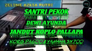 Santri pekok