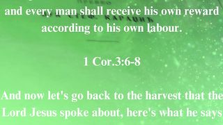 The Gospel according to John 136