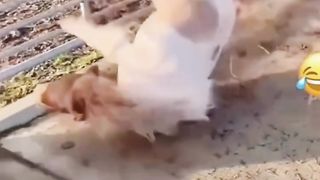 مقالب مضحكة