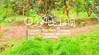 من تصويري