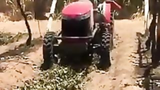 طحن شجر العنب / اذا اعجبك الفيديو قم بالاشتراك ولكا الفضل