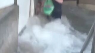 You will die laughing