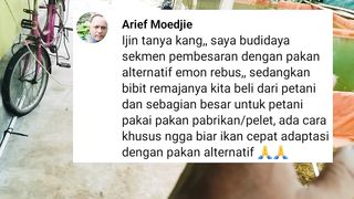 Untuk PEMULA kecilkan rasa TAKUTMU, Beranikan untuk analisis sendiri agar selalu mendapatkan ilmu baru dalam budidaya ikan lele