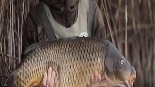 Watch and enjoy The best fishing operations From Around The World #1