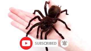 Top 10 Most Dangerous Hackers In The World
