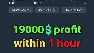 19000$ Profit within in 1 hour