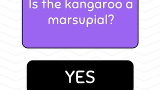 Test Your General Knowledge with This Quiz!