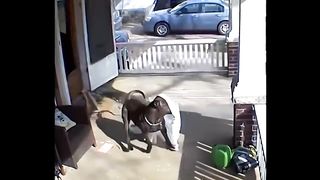 Funny video compilation | Part 1