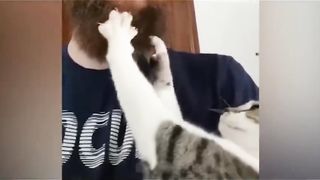 My pet