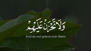 القران الكريم