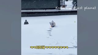 Funny video complation | Part 3