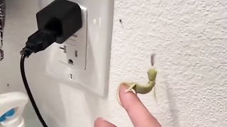 Wow ????