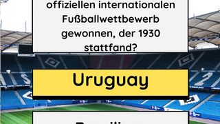 FIFA- Weltmeisterschaft
