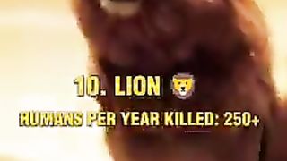 Top 10 most dangerous animals in the world ???? #shorts ????