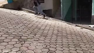 Only in brazil