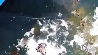 Beberapa faktor penyebab LARVA LELE lambat tumbuh❗Awas hindari beberapa hal ini