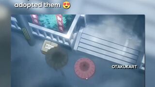 They found two cats in a street box and adopted them. ???????? #anime #animeedits #animememes #febspot