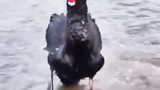 Great entrance!! ????