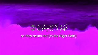 beautiful recitation of quran
