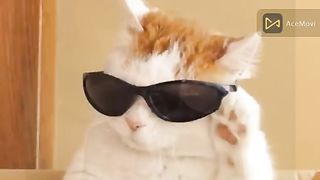 Get Paid $2.40 ???? PER AD You