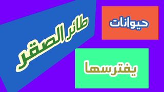 مالحيوانات التي يفترسها طائر الصقر الجارح