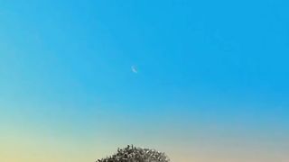 Beauty Of Nature
