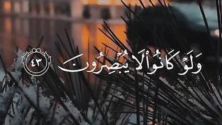 القارئ عبد الرحمن مسعد