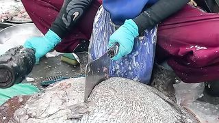 Giant fish cutting