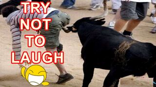 TRY NOT TO LAUGH Best Funny Vidéos Compilation