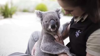 This is the best zoo in the world