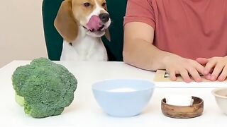 Cooking with doggos