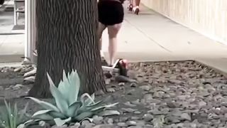 A terrible accident