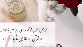 Namaz  or quran