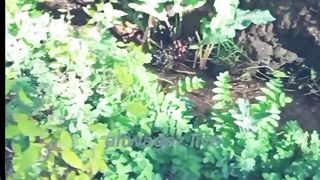 راحة النفس