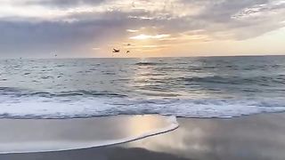 Nature nature