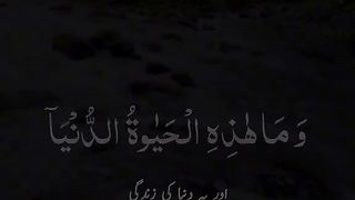 Qurani Ayat #