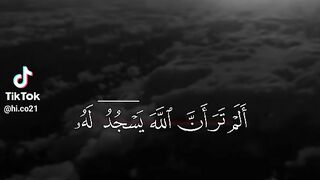 القرءان بصوت القارئ ياسر الدوسري