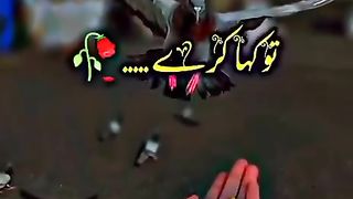 Beautlfull video Qurani verses shorts Video share plz subscribe and watch my video  pageforyou_ trending video 100 #unfrezzmyaccount #pageforyou_