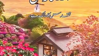 Beautlfull video Qurani verses shorts Video share plz subscribe and watch my video  pageforyou_ trending video 100 #unfrezzmyaccount #pageforyou_