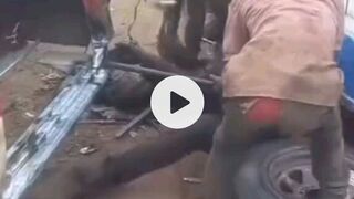 mechanics and their boss,very funny