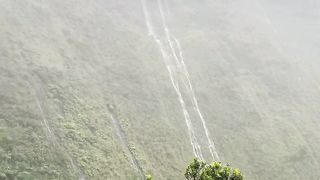 NATURE VIEW