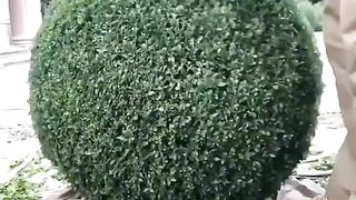 #funny