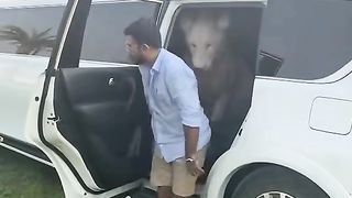 #funny