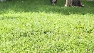 #funny