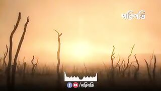 কি হবে বিচার দিবসে. What will happen on Judgment Day