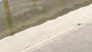 #funny