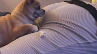 #funny