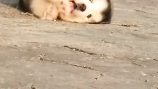#funny