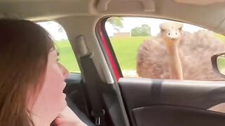 #funny